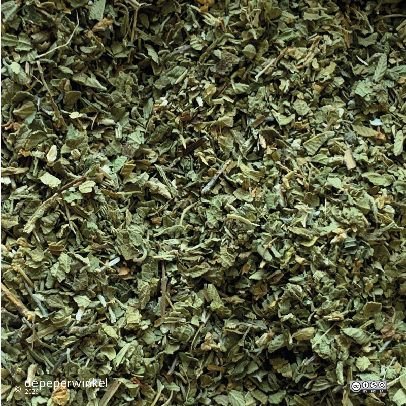 Mexicaanse oregano