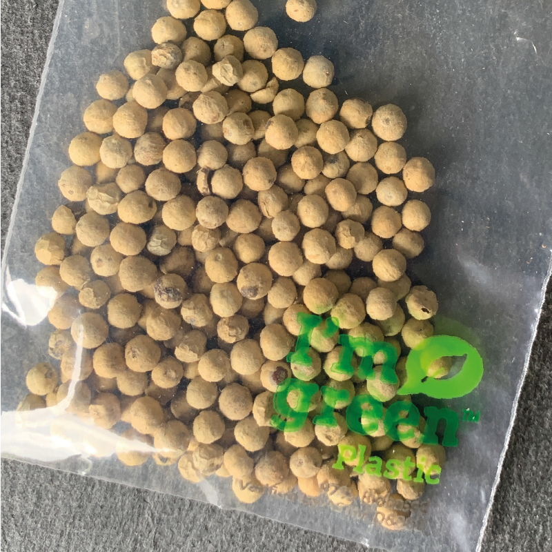White Sarawak pepper GI