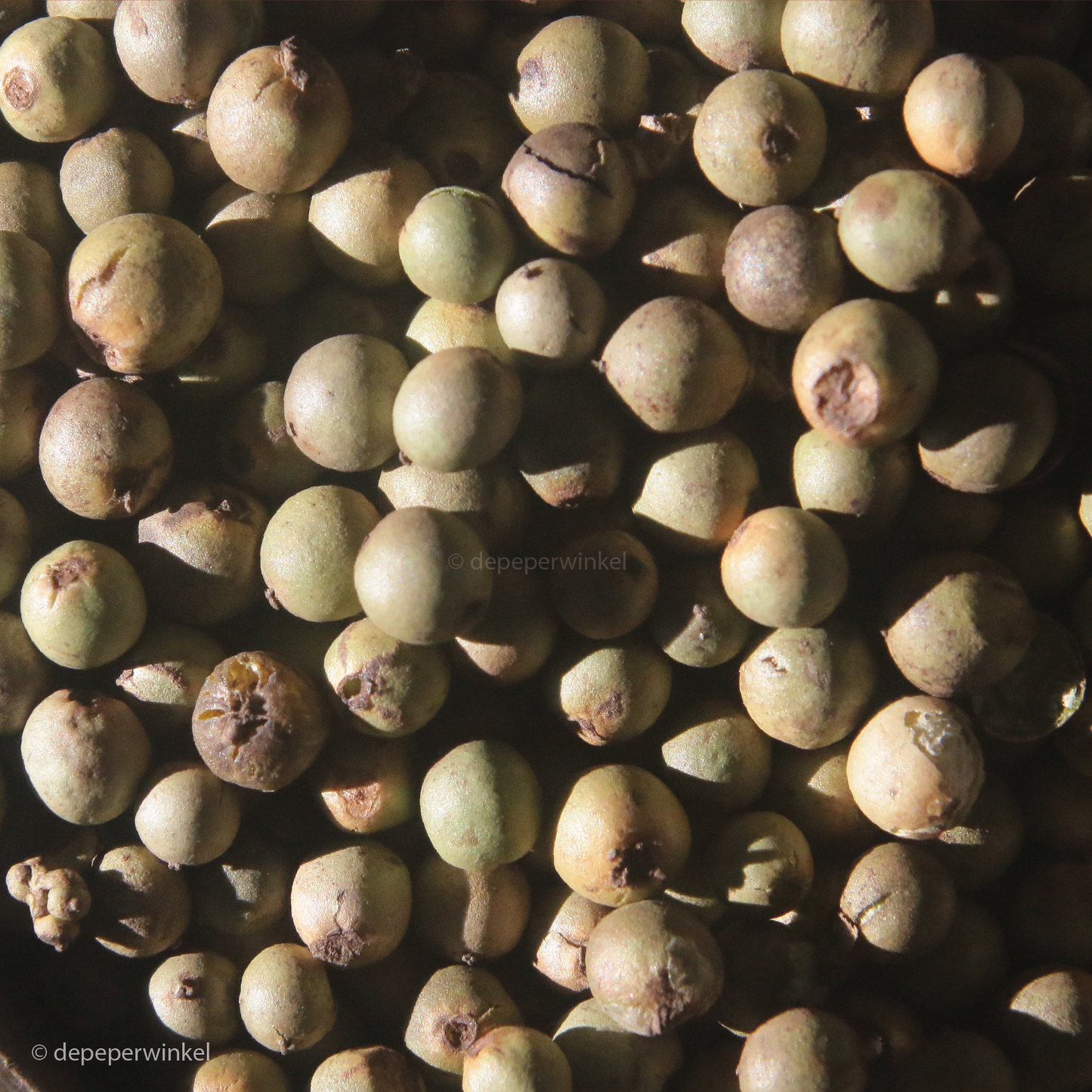 Gevriesdroogde groene peper