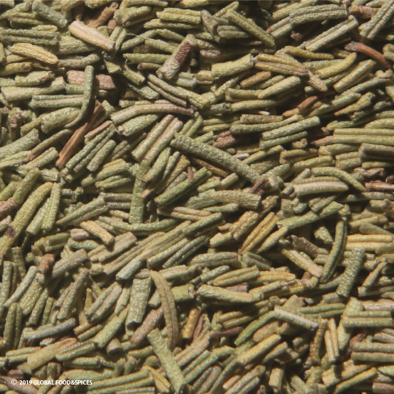 Rosemary (dentrolívano)