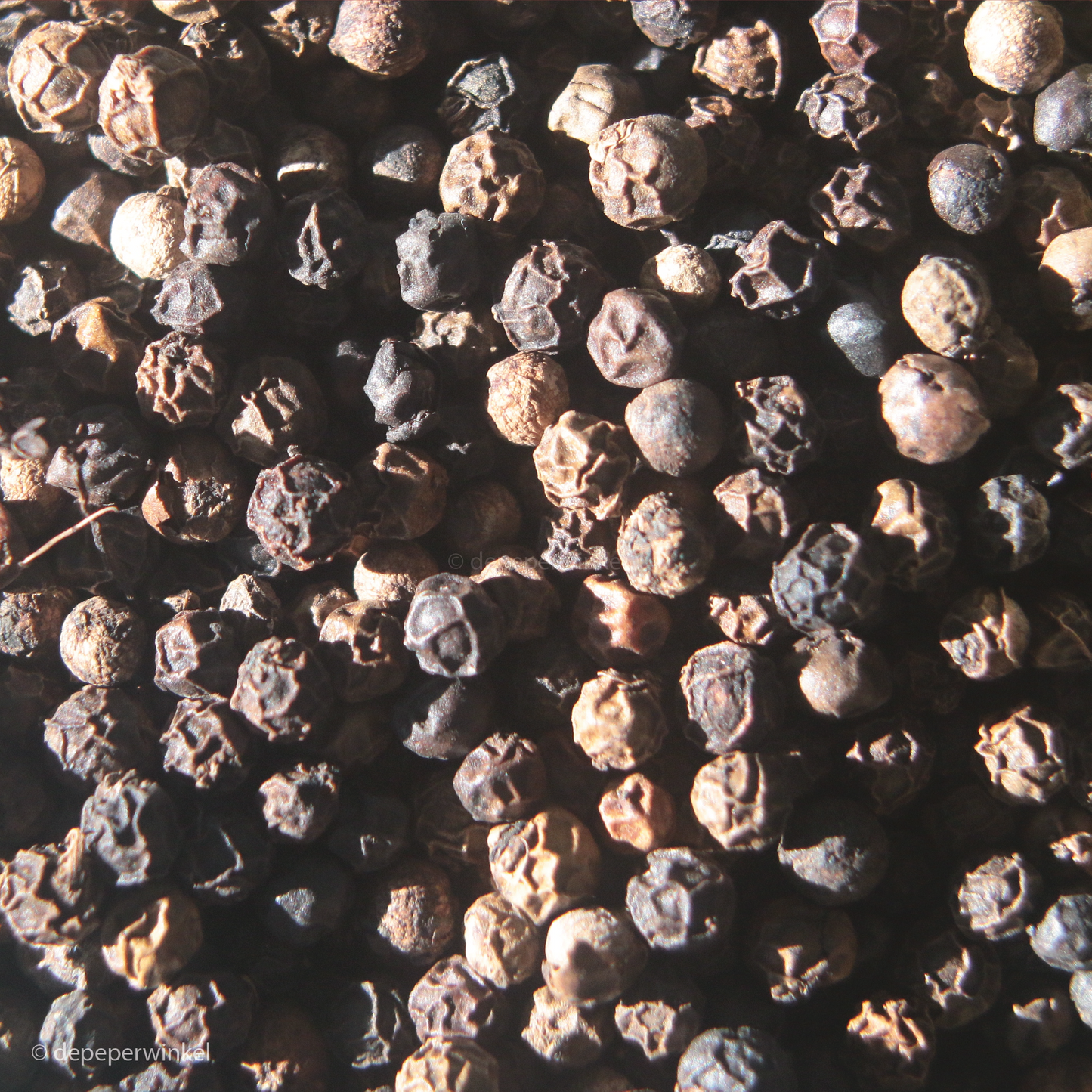 Zwarte Sarawak peper GI