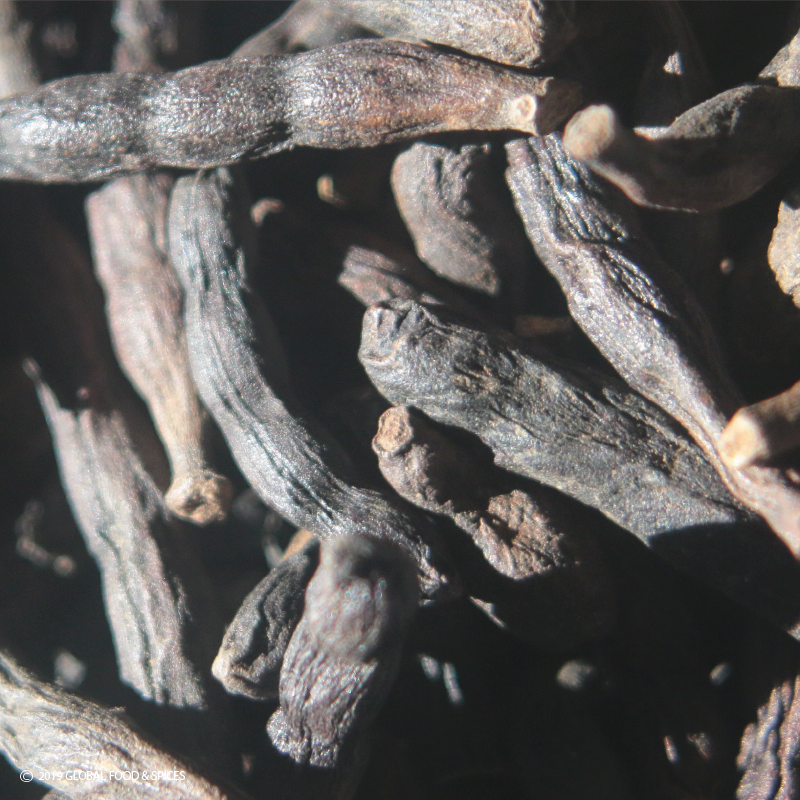 Selim (kani <tc>pepper</tc>)