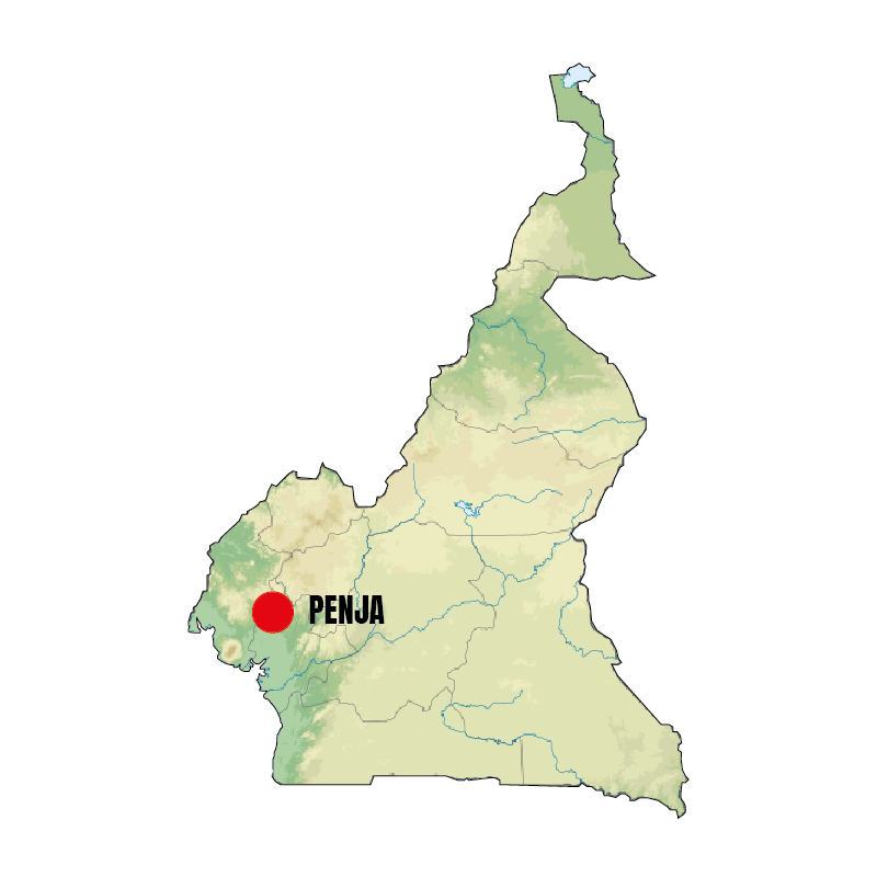 Kameroen