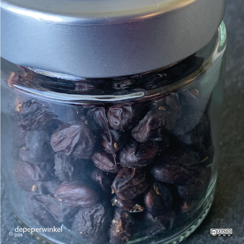 Doi seed (hạt dổi)