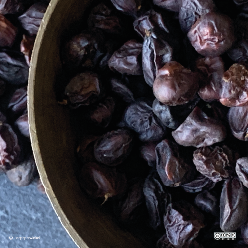 Doi seed (hạt dổi)