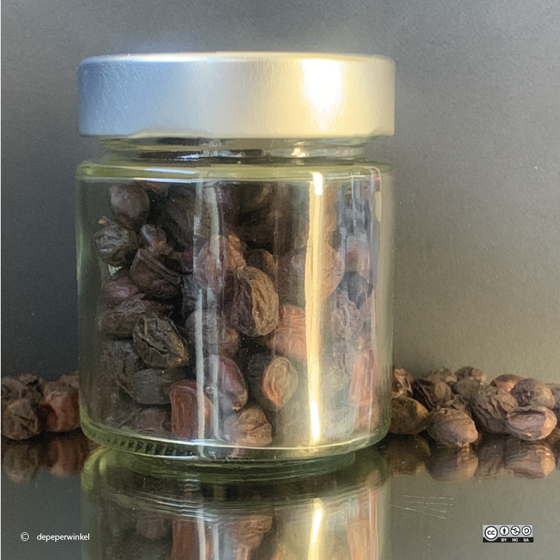 Doi seed (hạt dổi)