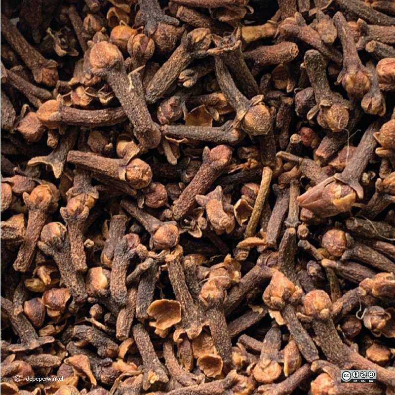 Clove