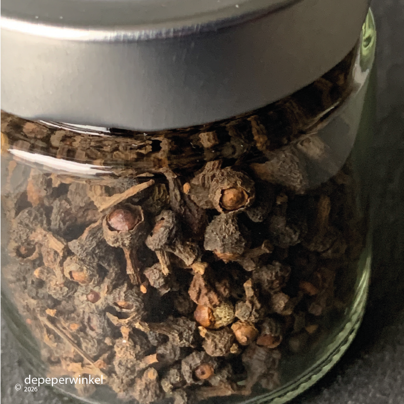 Cinnamon buttons (cassia)