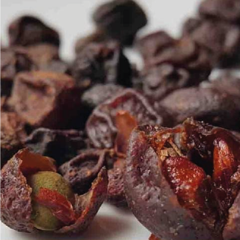 Mac mat (Mắc Mật)