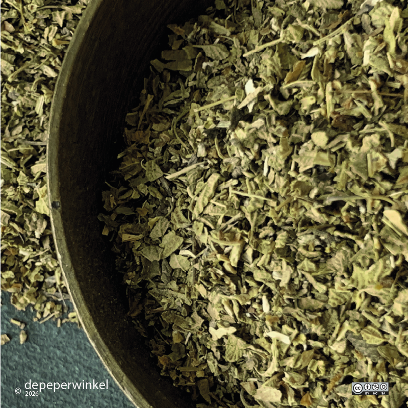 Mexicaanse oregano