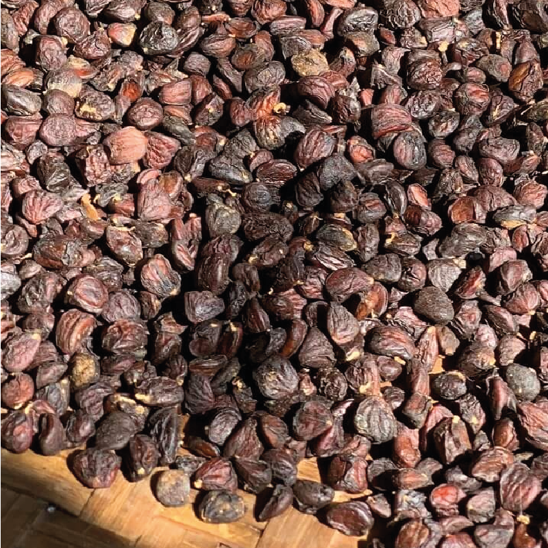 Doi seed (hạt dổi)