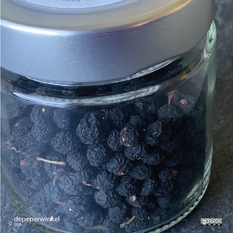 Tasmanian pepper (bushpepper)