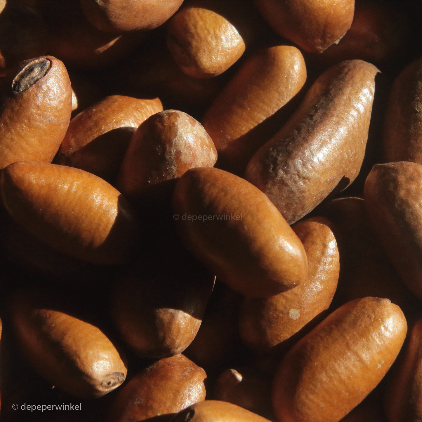 Ehuru (gourdnutmeg) - peeled